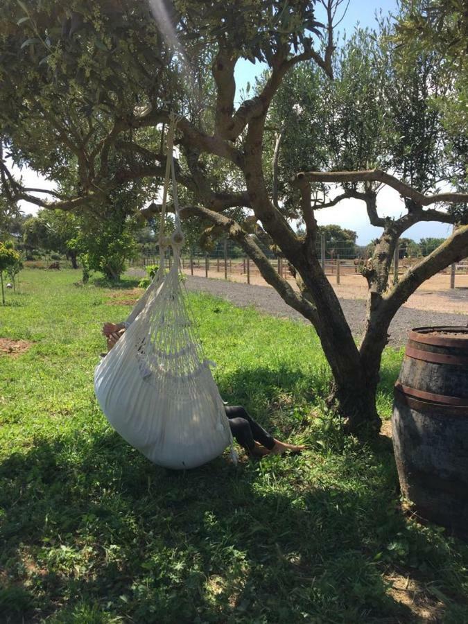 Apartamento En Casa De Campo Cerca De La Playa Pals Zewnętrze zdjęcie
